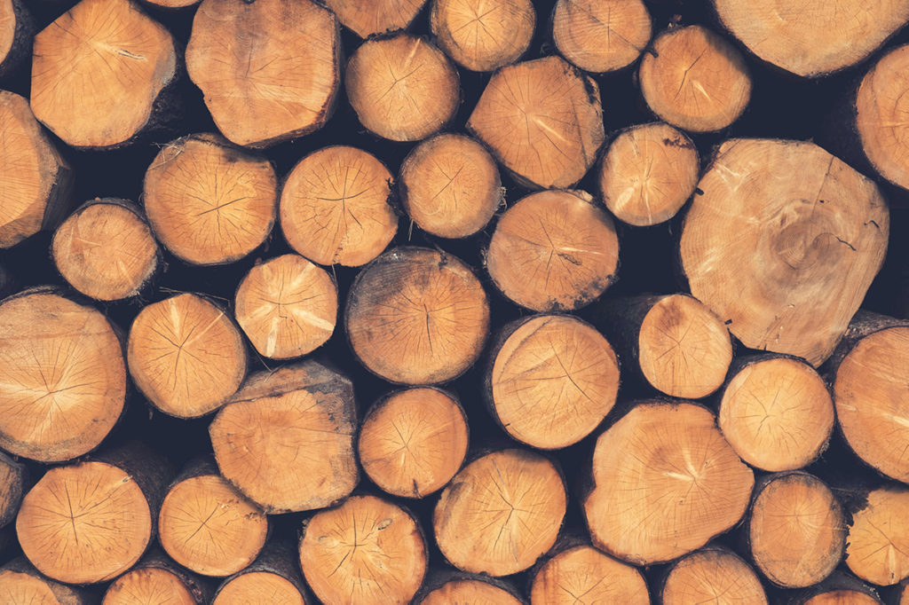 the type of lumber will determine how warm your log cabin is in winter