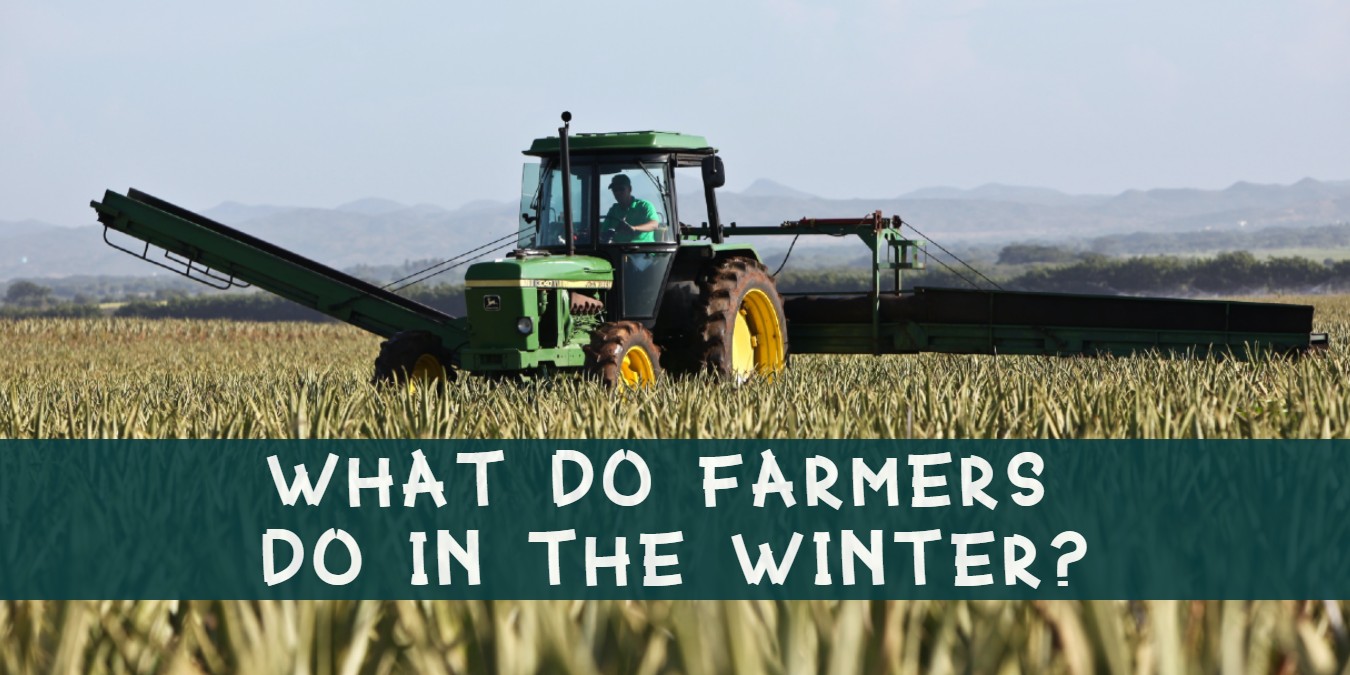 what do farmers do in the winter