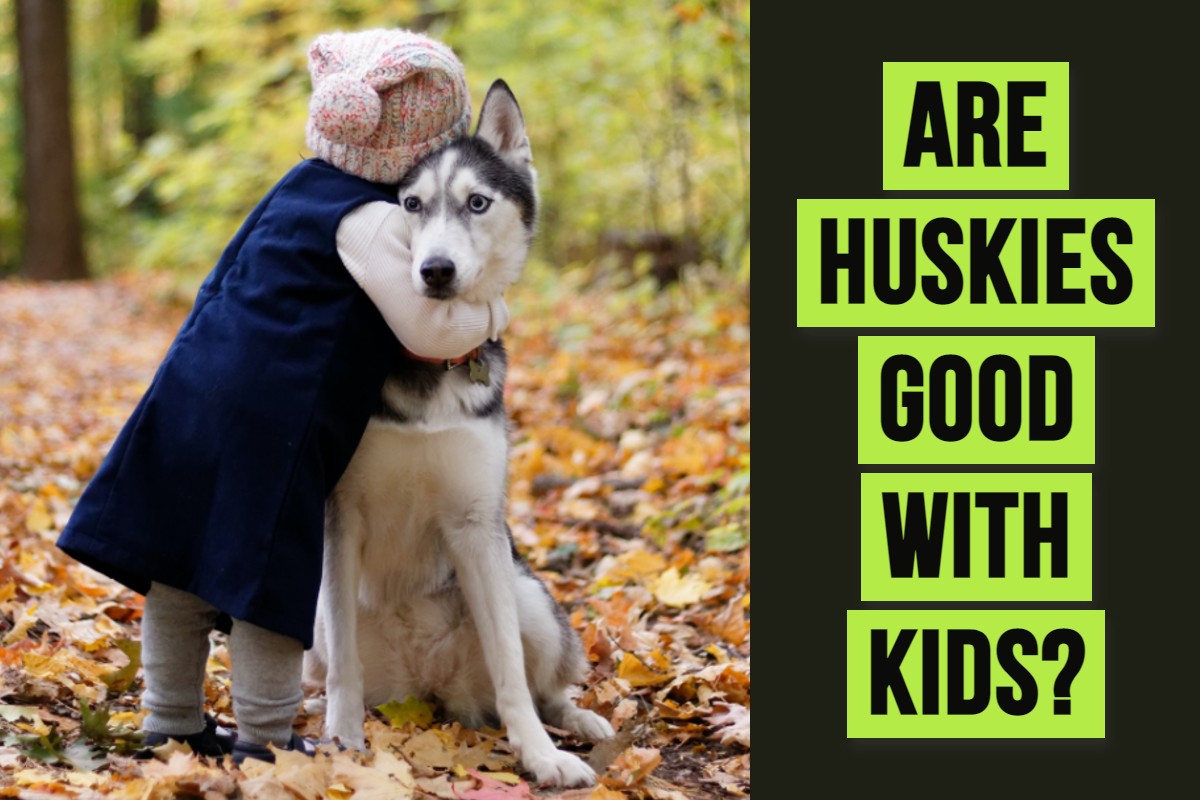 are alaskan husky good with kids